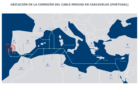 Proyecto Medusa